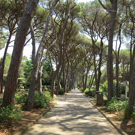 Al Mare-2 By Interhome Rosignano Marittimo